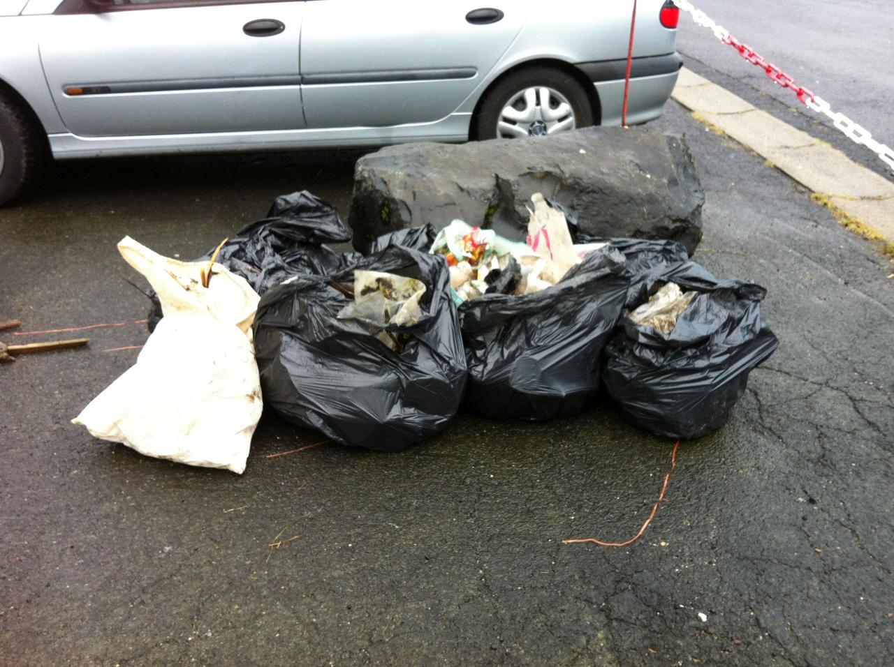 10 sacs poubelle de détritus divers