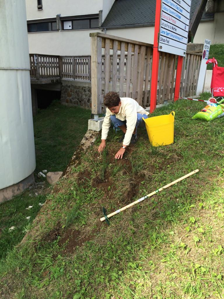 On plante des genêts  !