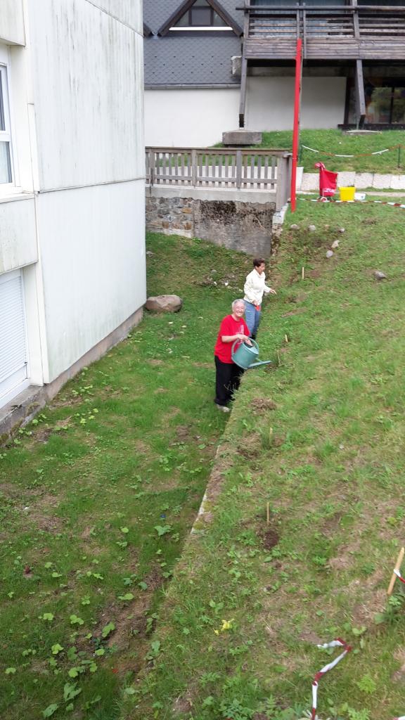 arrosage après plantations