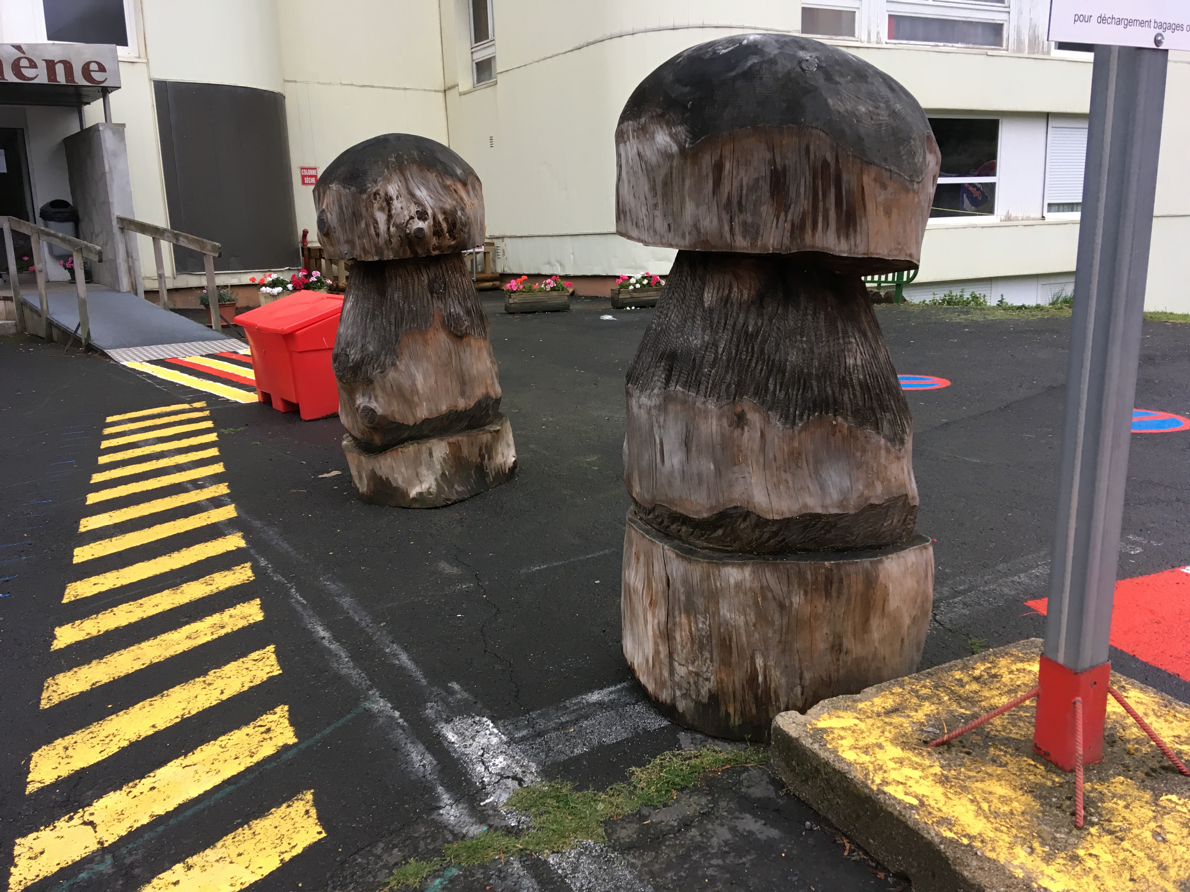 balisage par les champignons en bois