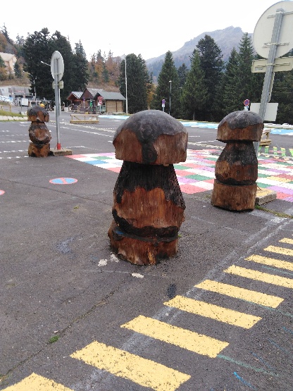 champignons traités au saturateur : on dirait des vrais !