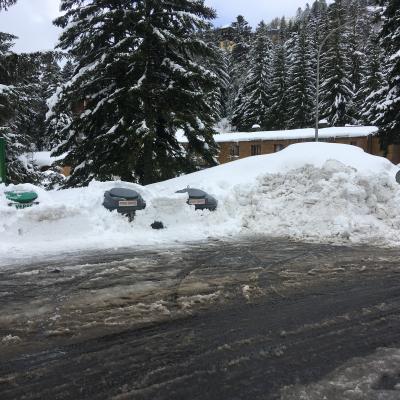 vendredi 1 er février  midi :  conteneurs ensevelis sous la neige