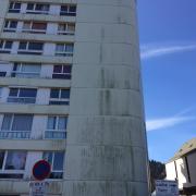 mousse façade